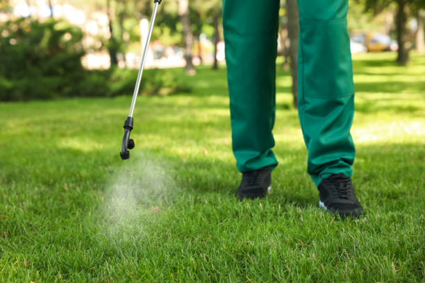 Best Mosquito Control Services  in St Clair, MO