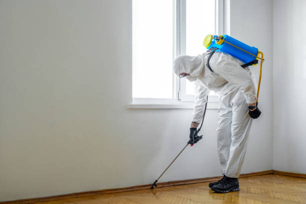Best Commercial Pest Control Services  in St Clair, MO