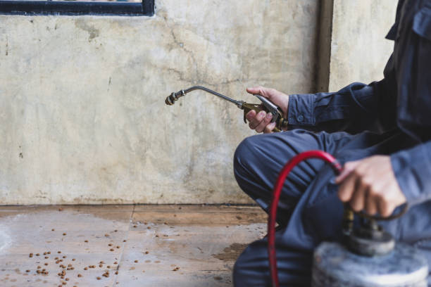 Best Pest Removal Services  in St Clair, MO