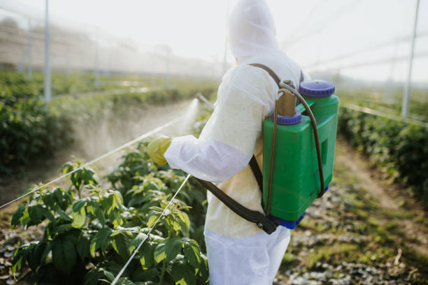 Professional Pest Control in St Clair, MO